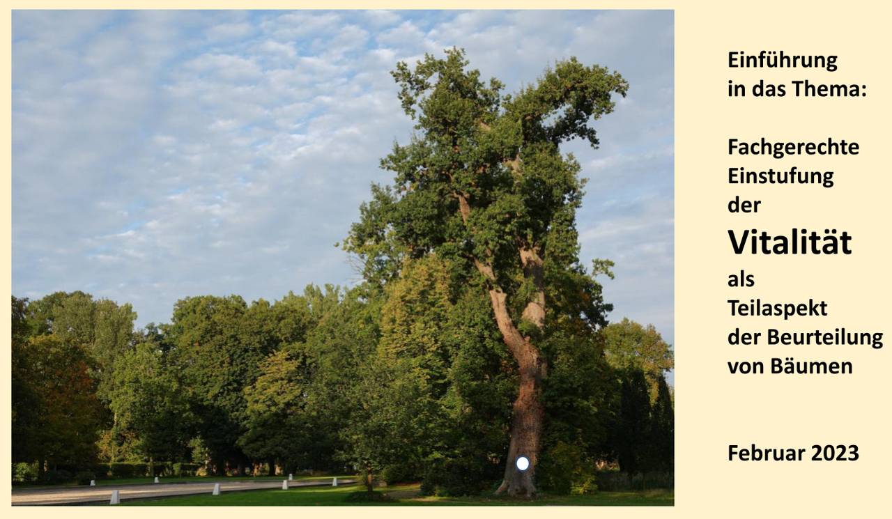 Bild eines Baumes, rechts Beschreibung des Kapitel 4