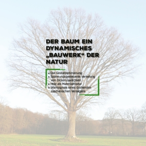 Kapitel 2: Der Baum ein dynamisches „Bauwerk“ der Natur